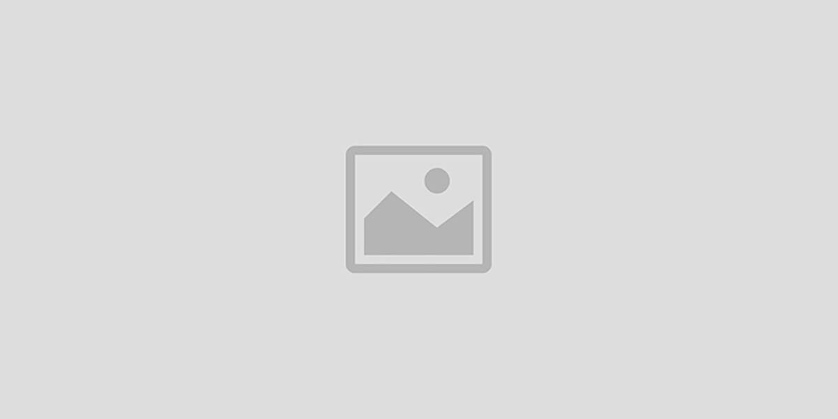 Frienzo.Shop- Frienzo Group
